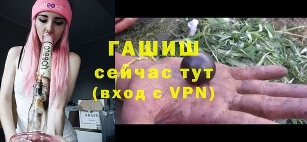 дживик Каменка