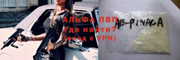 дживик Каменка