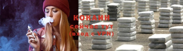 дживик Каменка
