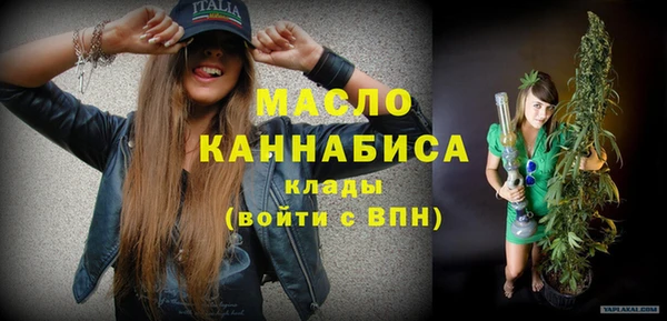 дживик Каменка