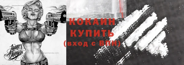дживик Каменка